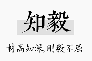 知毅名字的寓意及含义