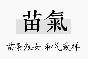 苗气名字的寓意及含义