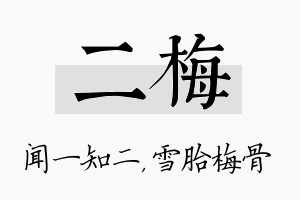 二梅名字的寓意及含义