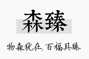 森臻名字的寓意及含义