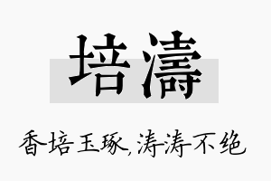 培涛名字的寓意及含义