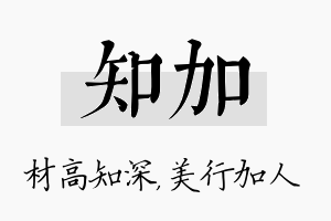 知加名字的寓意及含义