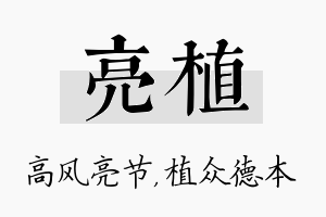 亮植名字的寓意及含义