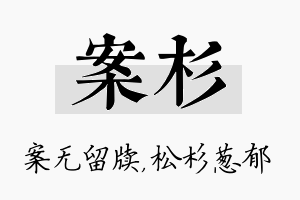 案杉名字的寓意及含义