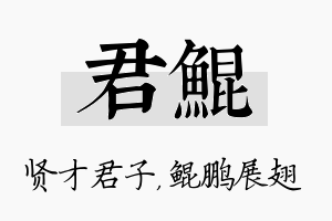 君鲲名字的寓意及含义