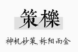 策栎名字的寓意及含义