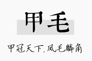 甲毛名字的寓意及含义