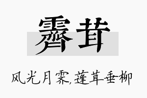 霁茸名字的寓意及含义