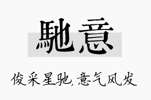 驰意名字的寓意及含义