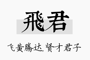 飞君名字的寓意及含义