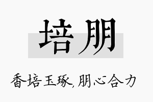 培朋名字的寓意及含义