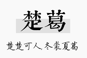 楚葛名字的寓意及含义