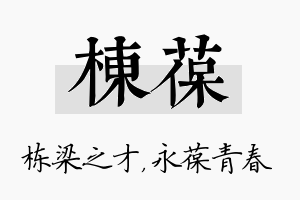 栋葆名字的寓意及含义