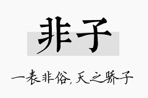 非子名字的寓意及含义