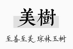 美树名字的寓意及含义