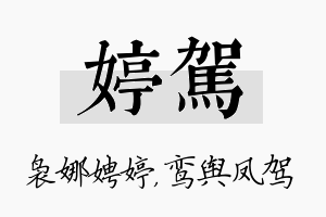 婷驾名字的寓意及含义