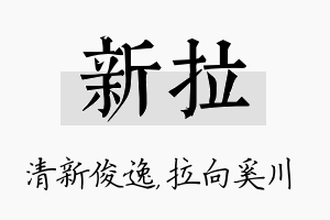 新拉名字的寓意及含义