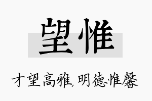 望惟名字的寓意及含义