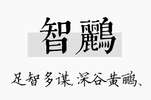 智鹂名字的寓意及含义