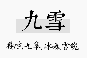 九雪名字的寓意及含义