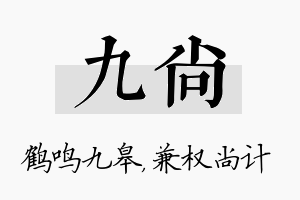 九尚名字的寓意及含义