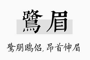 鹭眉名字的寓意及含义