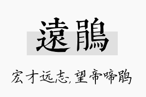 远鹃名字的寓意及含义