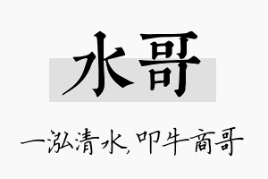 水哥名字的寓意及含义