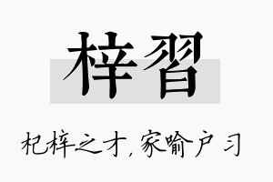 梓习名字的寓意及含义