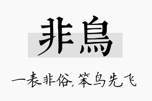 非鸟名字的寓意及含义