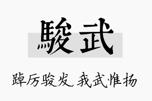 骏武名字的寓意及含义