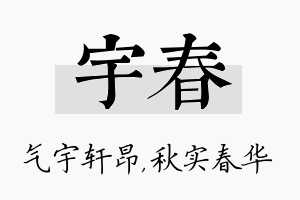 宇春名字的寓意及含义