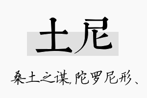 土尼名字的寓意及含义