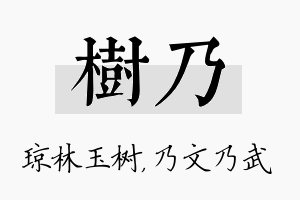 树乃名字的寓意及含义