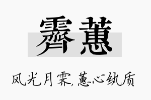 霁蕙名字的寓意及含义