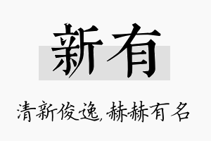 新有名字的寓意及含义