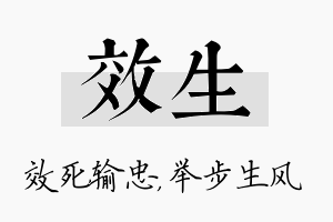 效生名字的寓意及含义