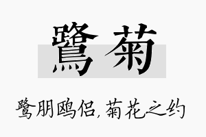 鹭菊名字的寓意及含义