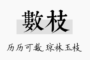 数枝名字的寓意及含义