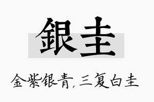 银圭名字的寓意及含义