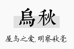 乌秋名字的寓意及含义