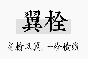 翼栓名字的寓意及含义