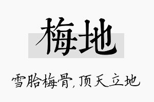 梅地名字的寓意及含义