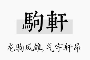 驹轩名字的寓意及含义