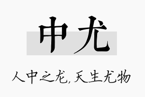 中尤名字的寓意及含义