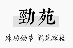 劲苑名字的寓意及含义