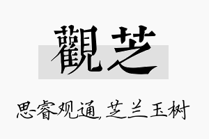 观芝名字的寓意及含义