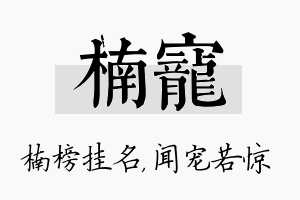 楠宠名字的寓意及含义