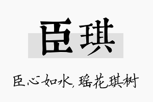 臣琪名字的寓意及含义