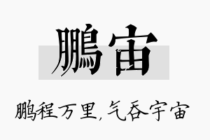 鹏宙名字的寓意及含义